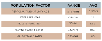 graph showing statistics of the average age of feral hog reprodution and rates